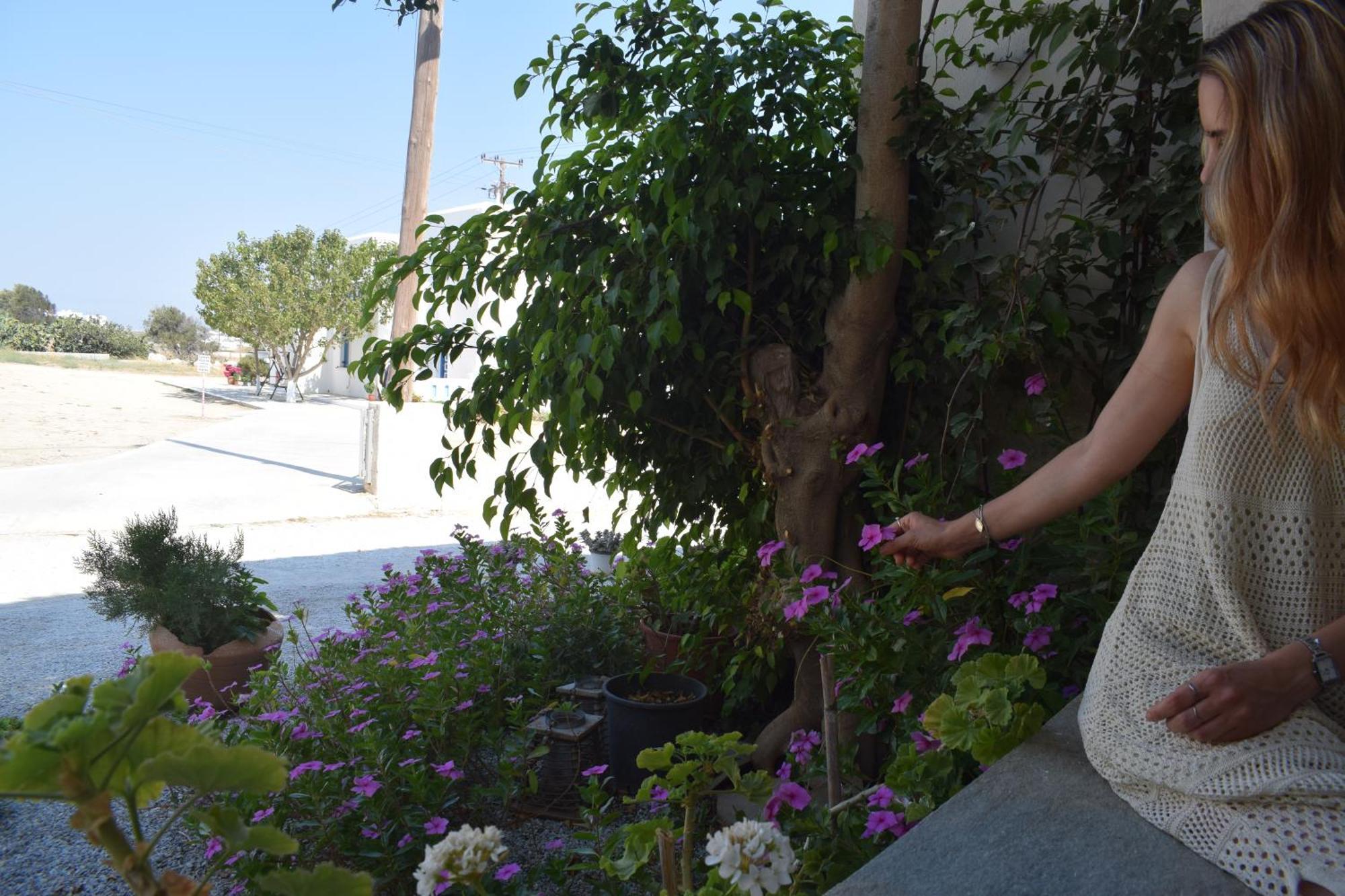 Birbas Hotel Agia Anna  ห้อง รูปภาพ